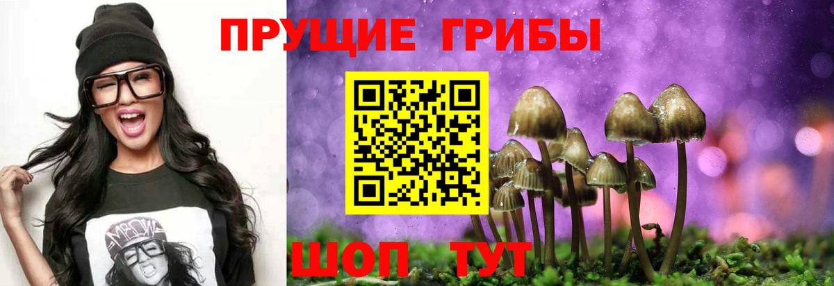 Псилоцибиновые грибы Psilocybine cubensis Семилуки